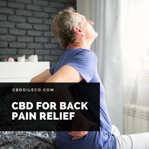 cbd oil for chronic back pain