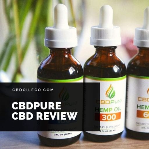 CBD Pure CBD Review & Best Price [2020 Update]