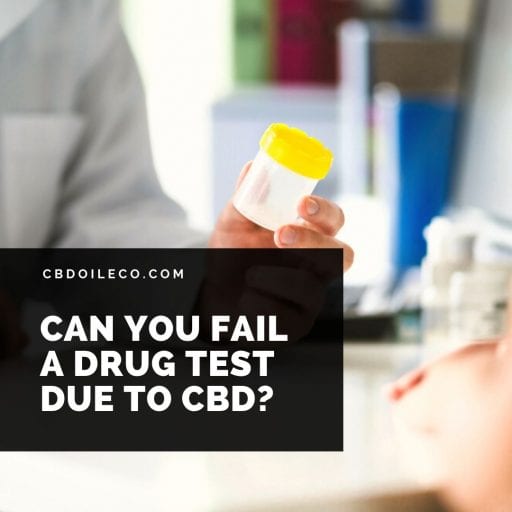 Can You Fail A Drug Test Due To CBD Oil?
