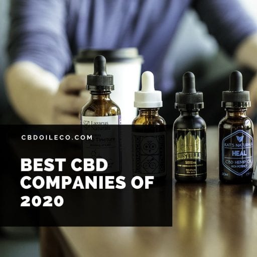 Best CBD Companies Of 2020 [Top 3 Picks] - Cbdoileco.com