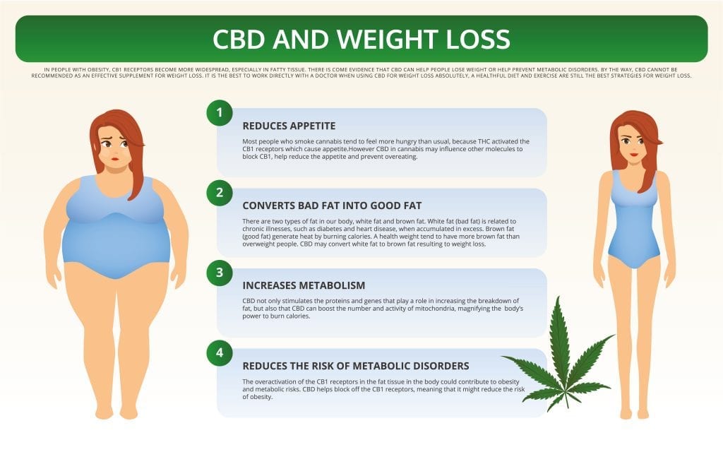 CBD effect on weight loss