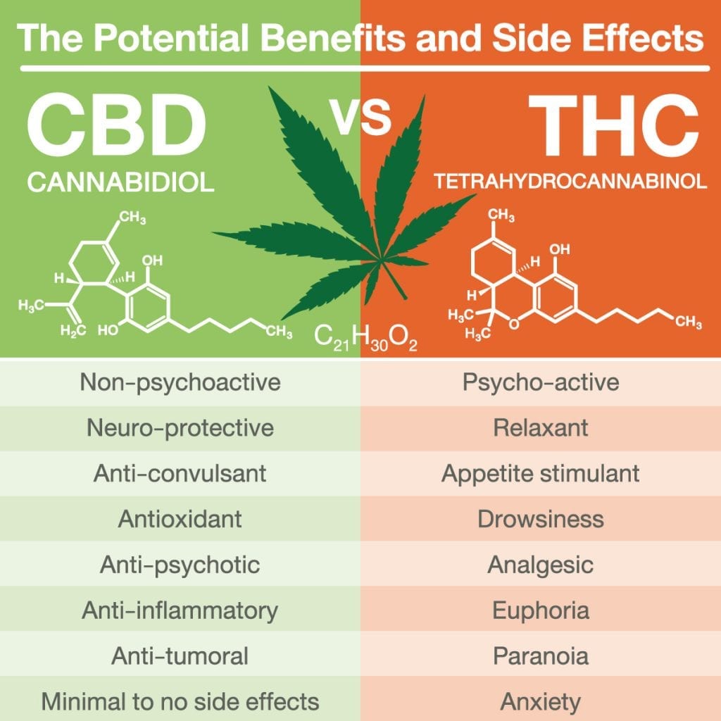 CBD Effects | Benefits, Downsides, Dosage and Warning - CBDoilEco